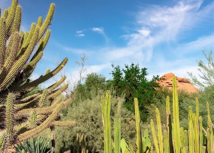 Encanto - 1 Mile To Asu Downtown, Hot Tub, Dogs Ok Сasa de vacaciones *